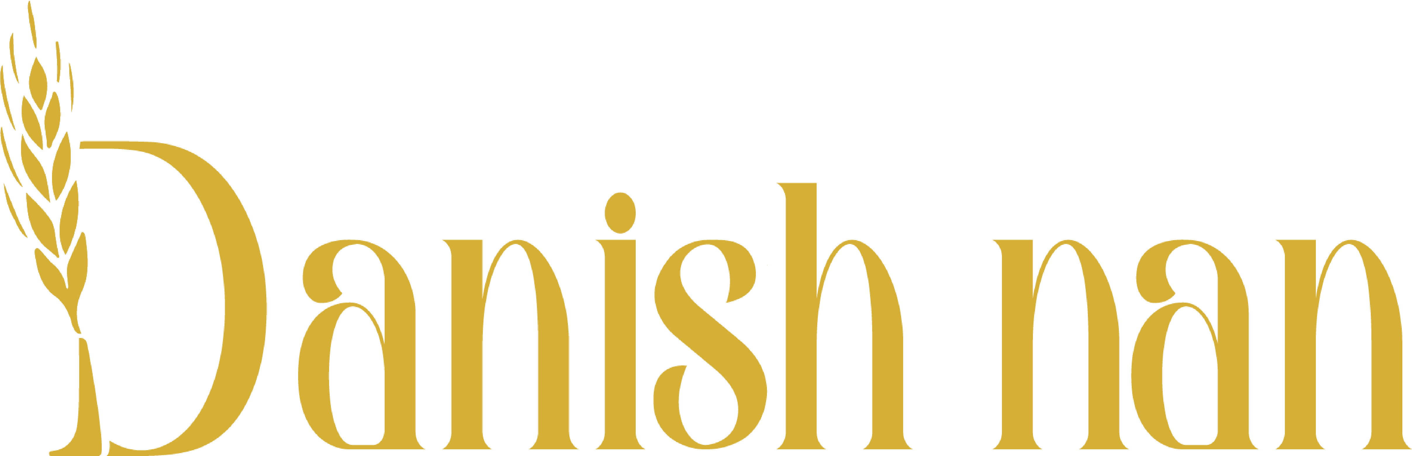 Danish Nan  دنیش نان